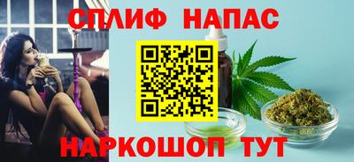 гашик Жуковский