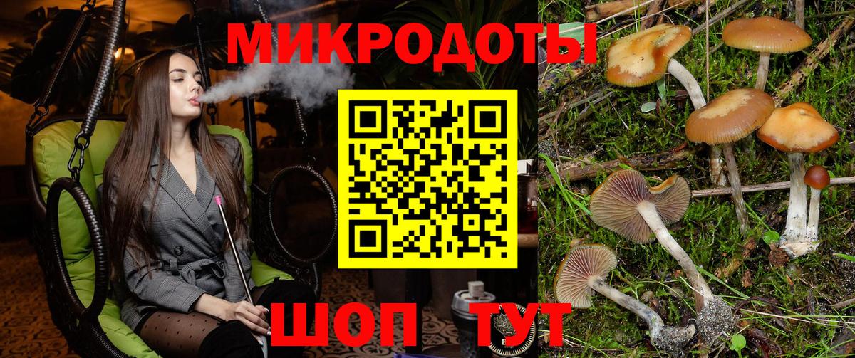 Галлюциногенные грибы Cubensis  Вход с VPN  Новоалтайск  Псилоцибиновые грибы Cubensis 