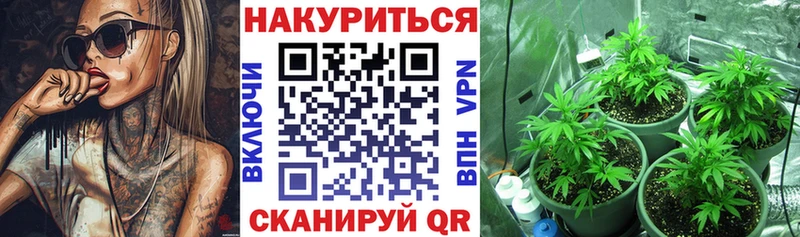mega tor  Новоалтайск  Шишки марихуана тримм 